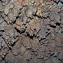 M 11